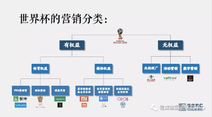 世界杯决赛介绍运营团队如何打造足球狂热用户群