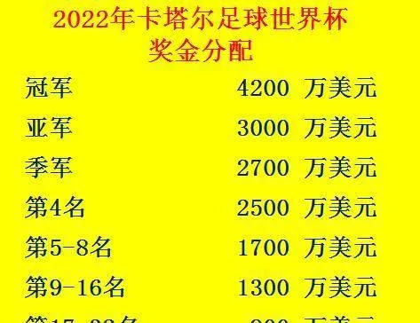 世界杯个人奖金（各国球员奖金排名和分配方案）